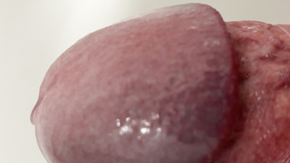 Nahaufnahme meiner fetten Eichel