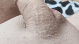 Frisch rasierter Penis Bilder