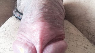 In Sack und A.....Eichel