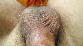 In Sack und A.....Eichel