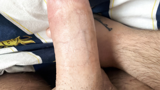 Beschnittener Libanesischer Jungschwanz