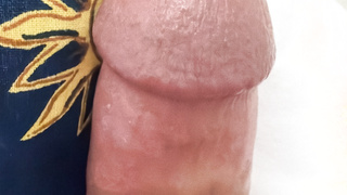 Beschnittener Libanesischer Jungschwanz