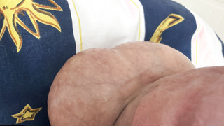 Beschnittener Libanesischer Jungschwanz