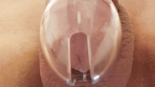 Mein Penis im Käfig und kein Schlüssel mehr