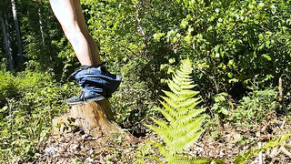 Mein hartes Holz im Wald