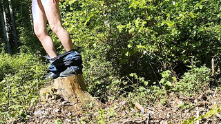 Mein hartes Holz im Wald