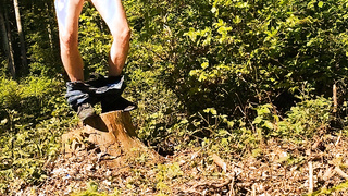 Mein hartes Holz im Wald