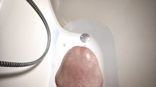 Eichel Bilder aus der Wanne