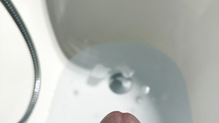 Eichel Bilder aus der Wanne