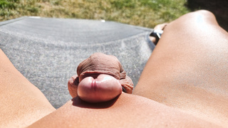 Mein rasierter Schwanz Bilder