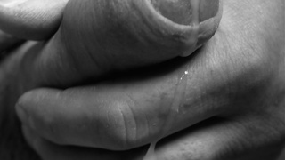 Schwanz in der Hand