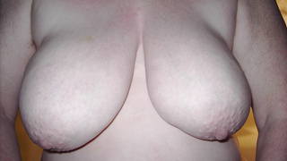 Gaby's Titten
