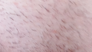 Ehestute vorstellen