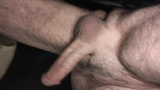 Harter Prengel