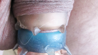 Schwanz mit Ring
