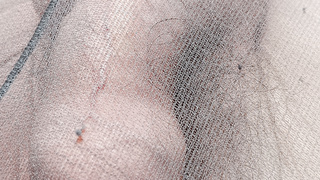 Strumpfhose/String