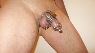 Analplug
