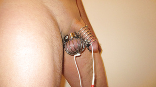 Elektrosex