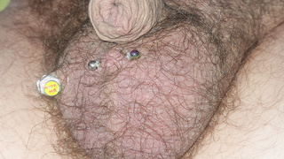 Penis mal unrasiert