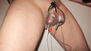 Hoden und Eichel unter Strom
