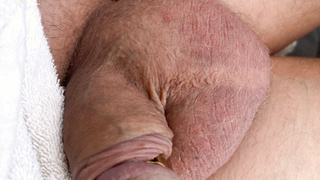 Mein Freund Penis, schlaff, steif, mit Ring