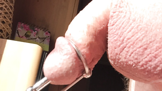 Zum ersten mal mit Penisplug