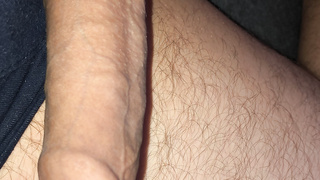 Ein paar neue Bilder von meinem kleinen Freund