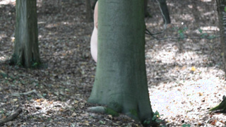 Frivol im Wald unterwegs