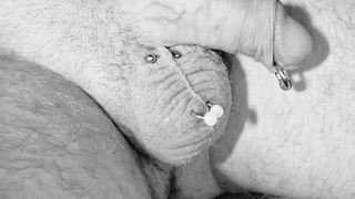 Piercing an meinem besten Stück
