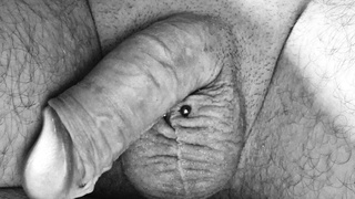 Kleiner Penis mit Piercing