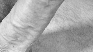 Kleiner Penis mit Piercing