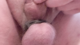 Cockringe