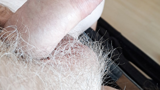 Haariger Schwanz Bilder