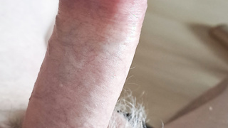 Haariger Schwanz Bilder