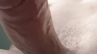 Normaler Penis von unten
