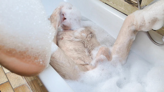 Spaß in der Badewanne...