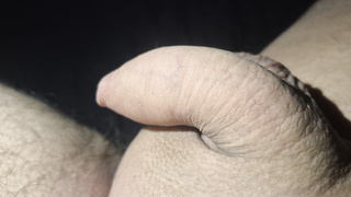 Kleiner Krummer Schwanz