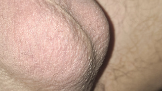 Kleiner Krummer Schwanz