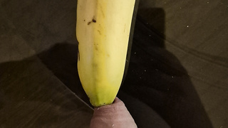 Kleiner Krummer Schwanz