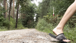 Einblicke im Wald