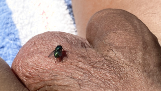Ein unerwarteter Besucher.