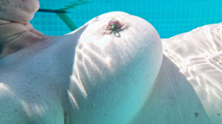 Heißer Sommertag nackt im Pool