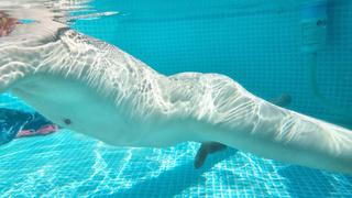 Heißer Sommertag nackt im Pool