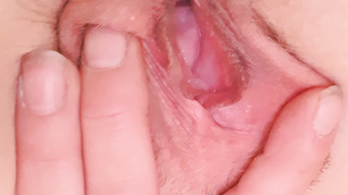 Nahaufnahme Muschi