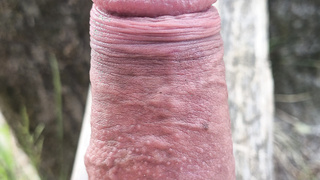 Naturliebhaber