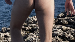Jungschwanz am Meer