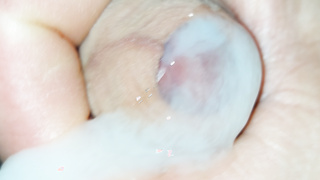 Spermabilder / Cumshotpics