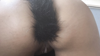 Fickfreundin mit Fuchsschwanz Analplug