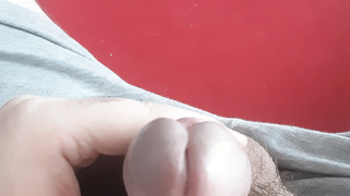 Harriger kleiner Penis.