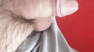 Harriger kleiner Penis.